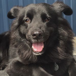 Meet your Posher, Lainy